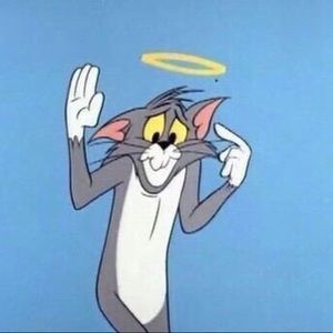 Meet your Posher, Maddie